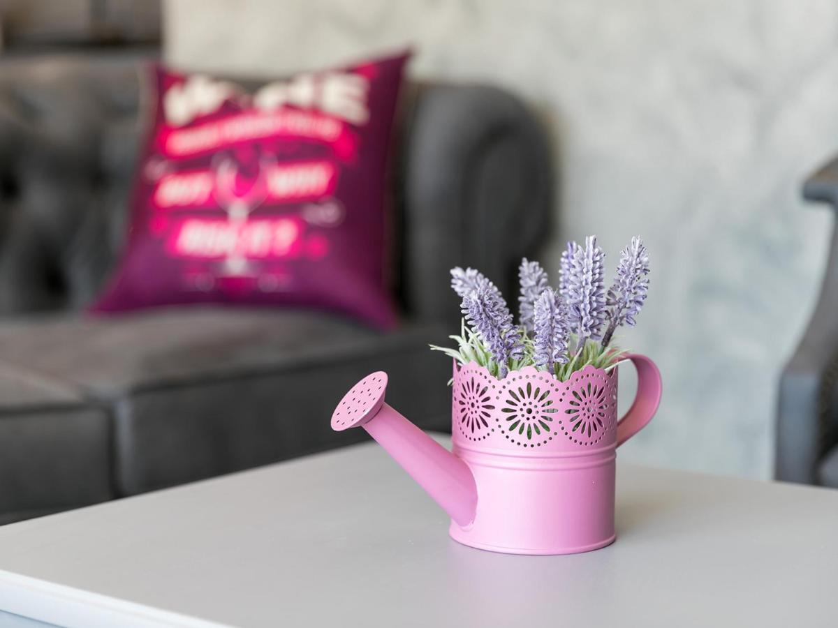 Villa Lavanda Nova Vas  Ngoại thất bức ảnh